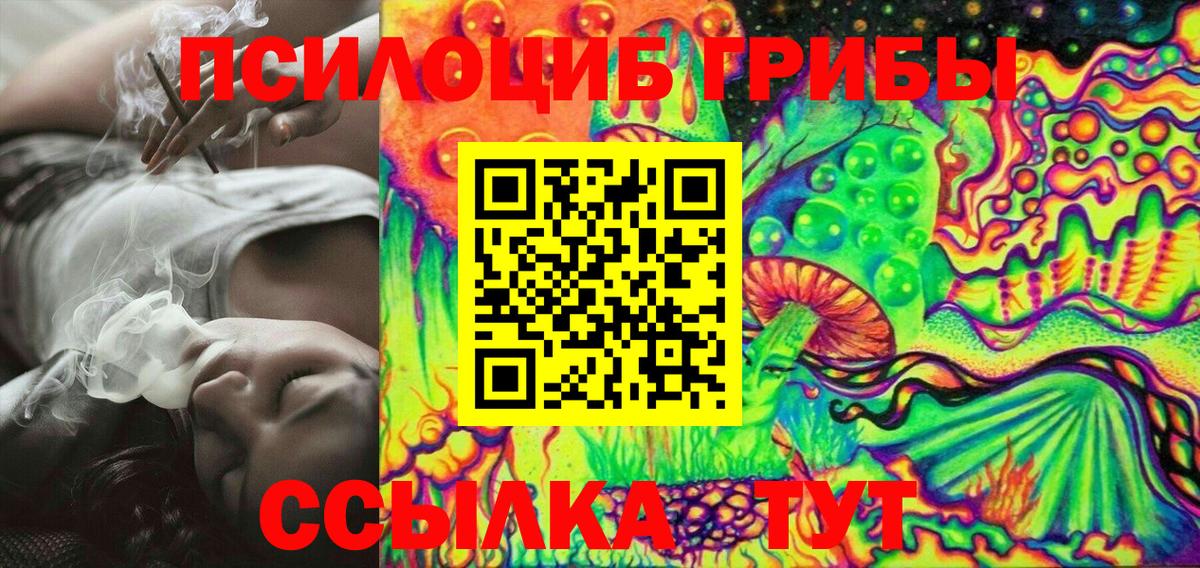 Галлюциногенные грибы Magic Shrooms  Вход с VPN  Кызыл  Галлюциногенные грибы прущие грибы 