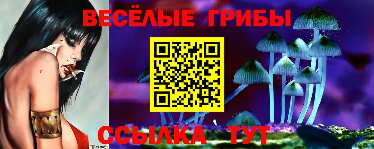 Псилоцибиновые грибы Psilocybine cubensis Кызыл