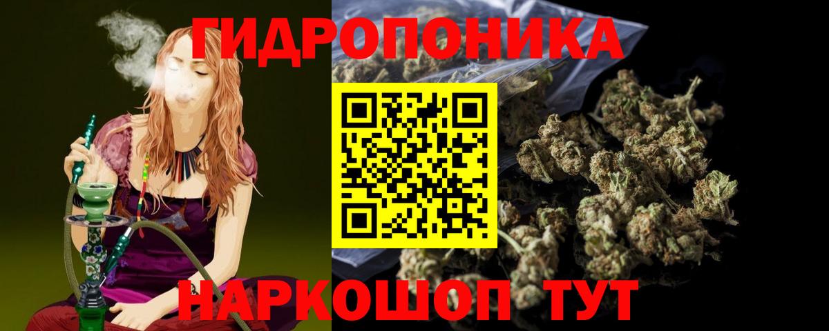 Шишки марихуана Ganja Кызыл